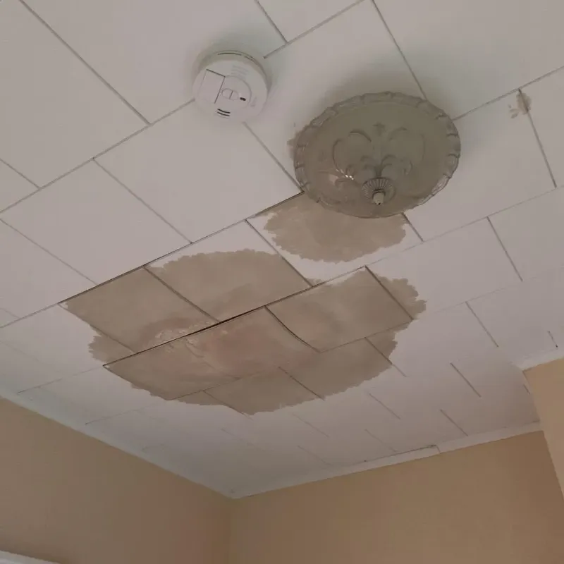 Ceiling Water Damage Repair in Londonderry, NH