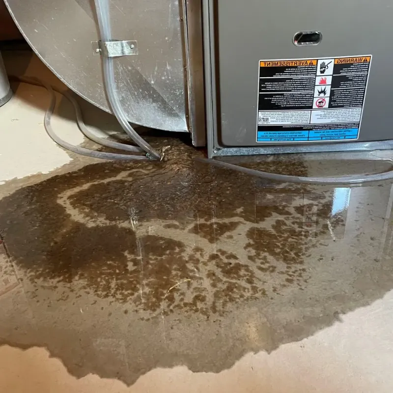 Pipe Burst and Leak Restoration in Londonderry, NH