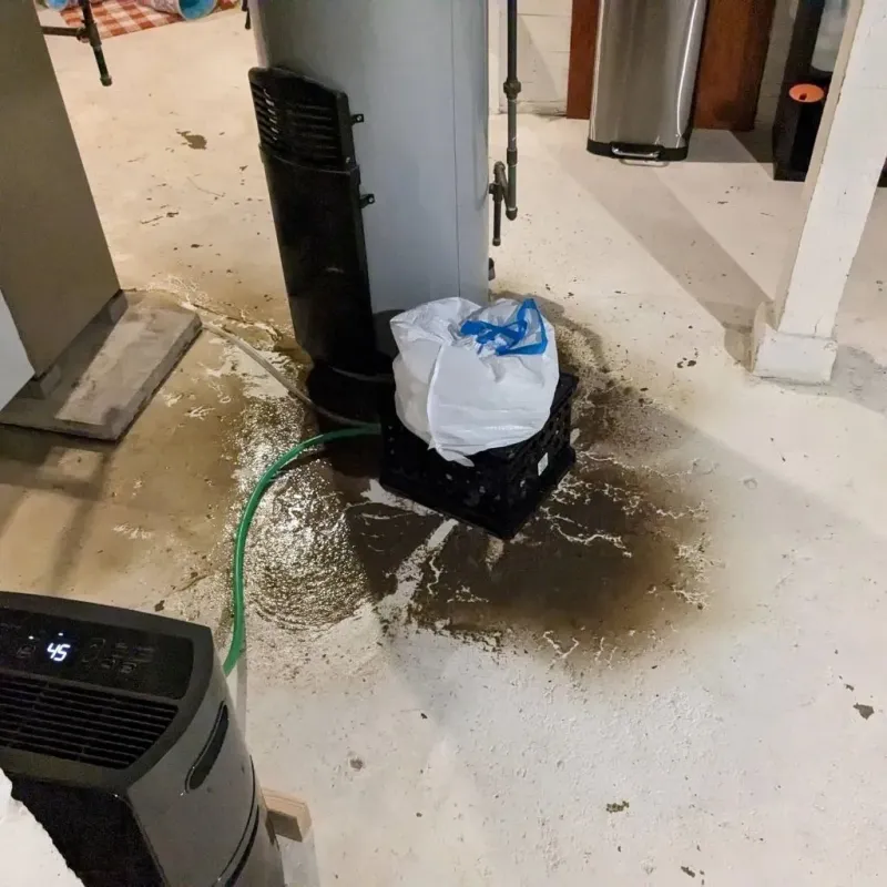 Sewage Backup Cleanup Service in Londonderry, NH